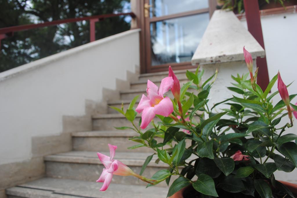 Bed and Breakfast Annavi Bari Exterior foto