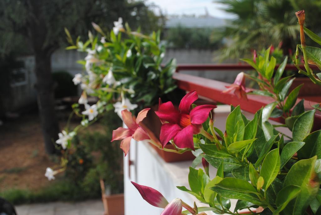 Bed and Breakfast Annavi Bari Exterior foto