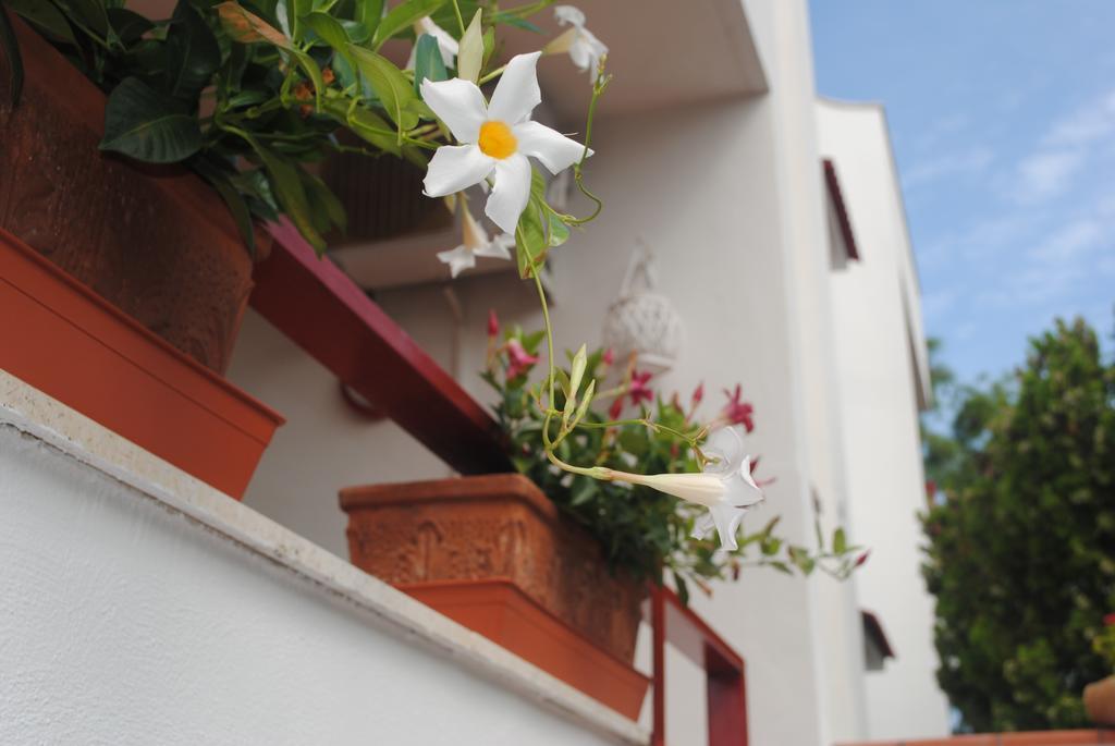 Bed and Breakfast Annavi Bari Exterior foto