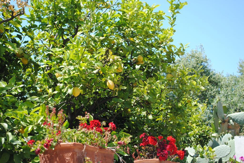 Bed and Breakfast Annavi Bari Exterior foto