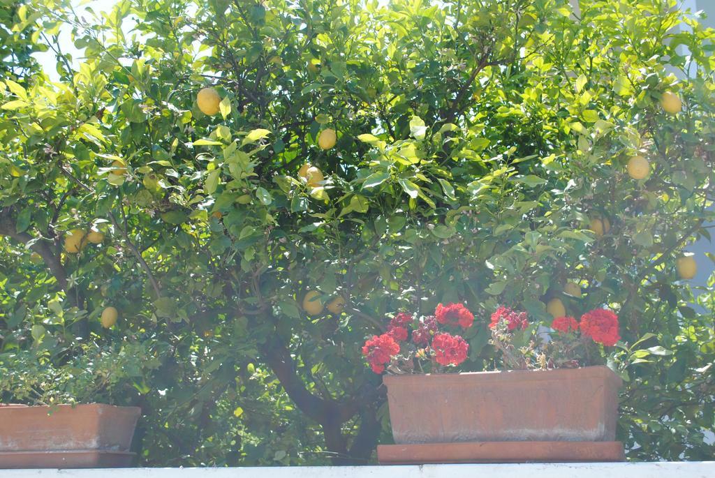 Bed and Breakfast Annavi Bari Exterior foto